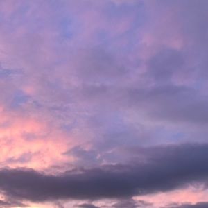 Meet your Posher, Mia